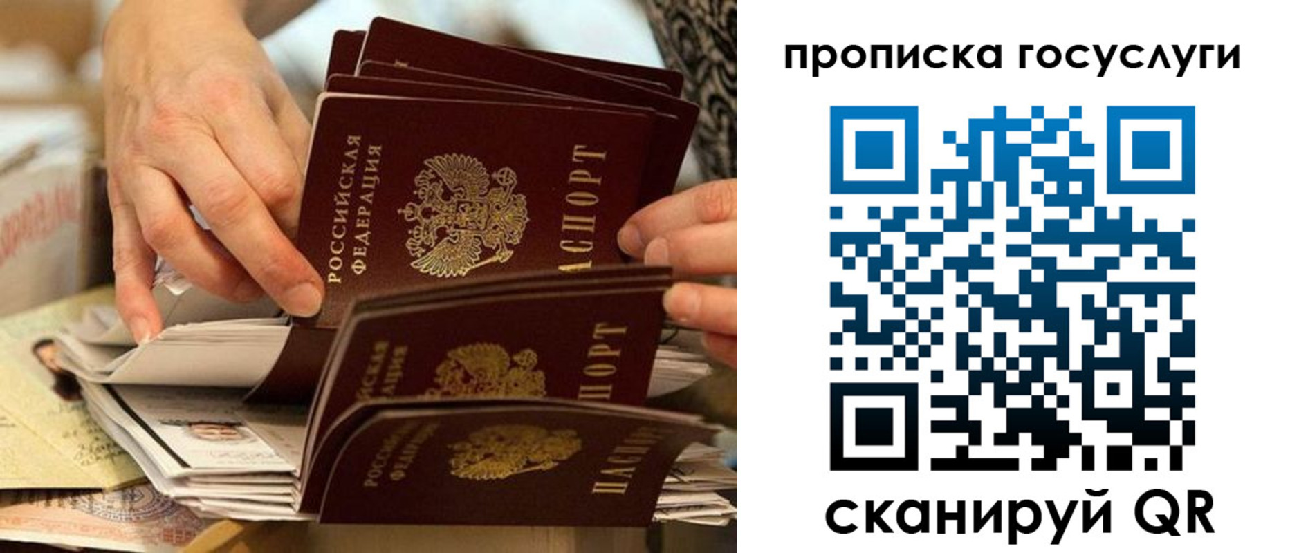 пропишу в квартире в Клинцах