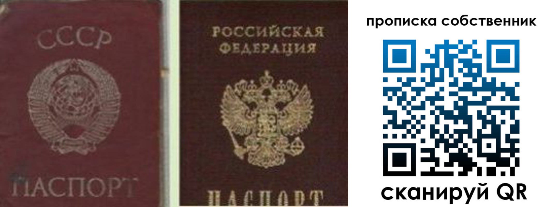 прописка 2025 в Клинцах